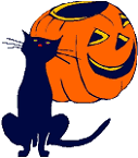 Cat with Jack O'Lantern