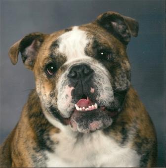 Winston