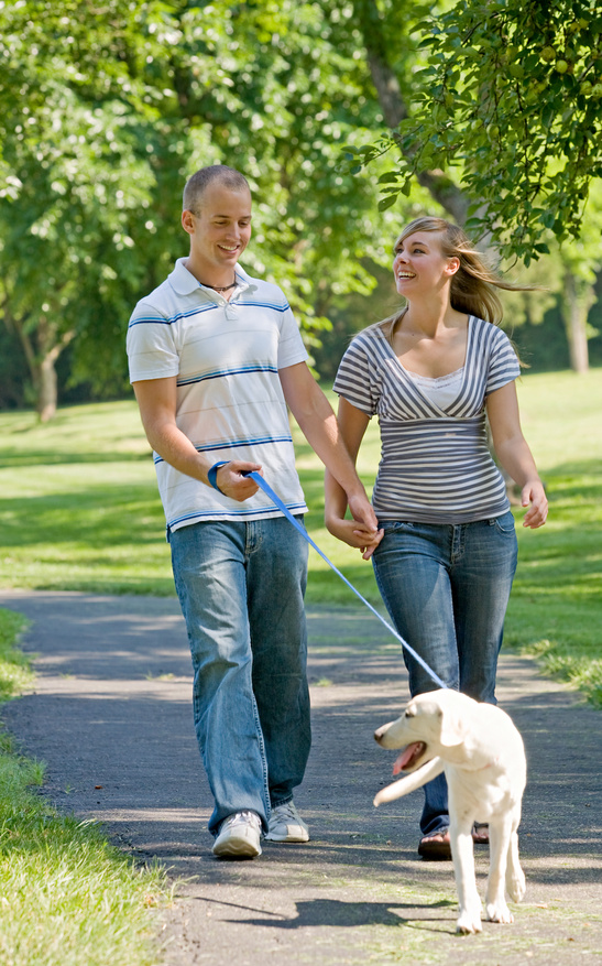 Dog walkers