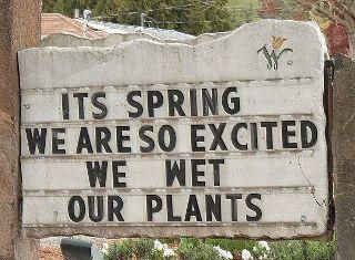 It's Spring, we wet our plants