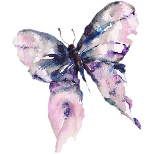 Water color Butterfly