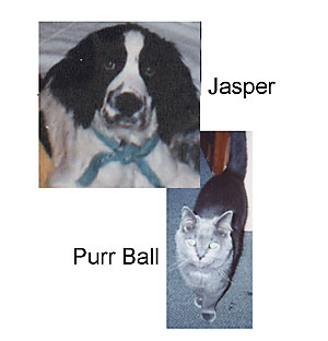 Jasper & Purr Ball