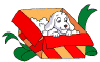 Puppy in Gift Box