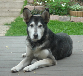 Georgi