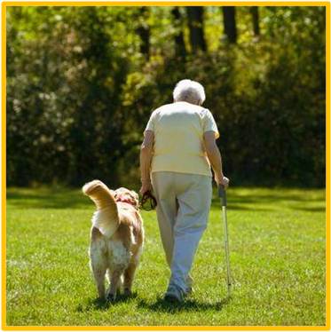 Woman walking dog