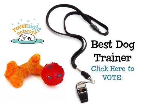 Vote for Best Trainer